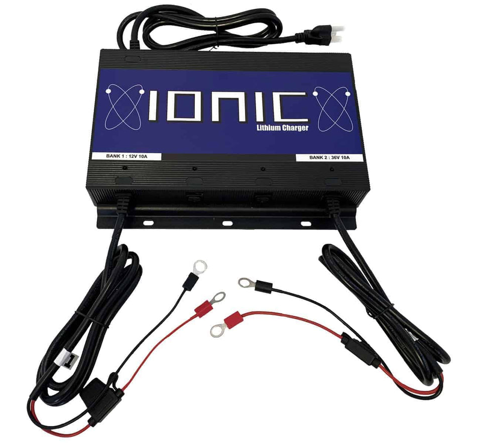 Ionic - Multi Voltage Charger